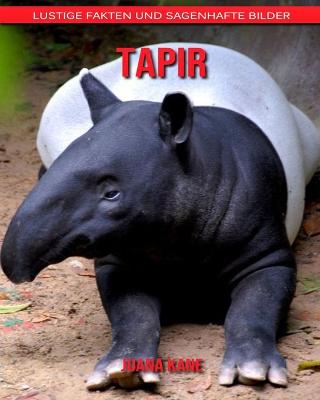 Book cover for Tapir