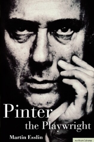 Cover of Pinter The Playwright