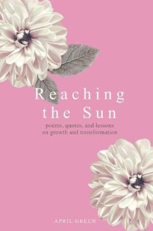 Cover of Reaching the Sun