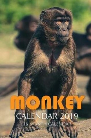 Cover of Monkey Calendar 2019