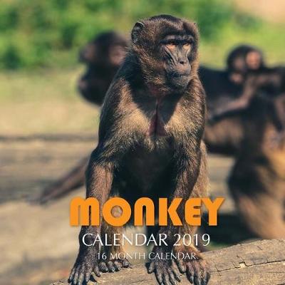 Book cover for Monkey Calendar 2019