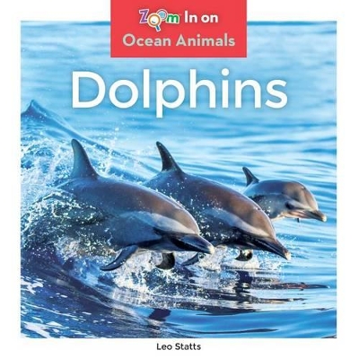 Book cover for Dolphins