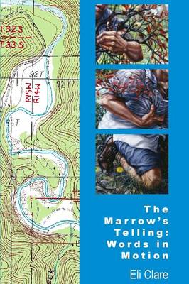Book cover for The Marrow's Telling