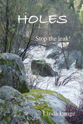 Book cover for Holes - Stop the Leak!