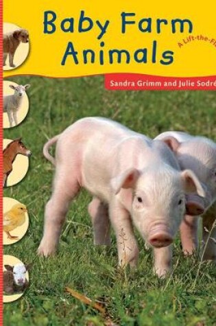 Cover of Baby Farm Animals