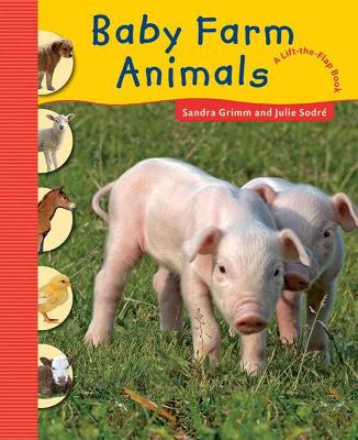 Book cover for Baby Farm Animals