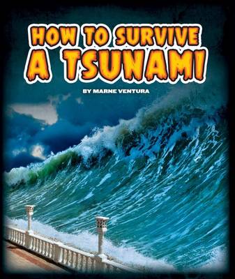 Book cover for How to Survive a Tsunami