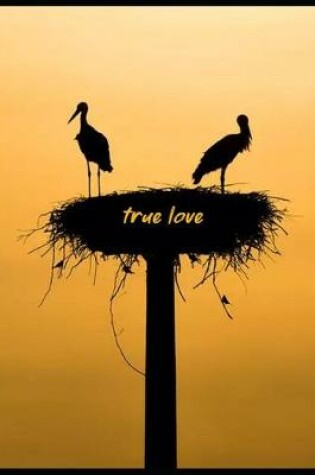 Cover of true love