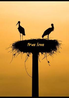 Book cover for true love