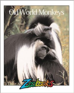 Cover of Old World Monkeys