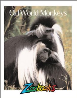 Book cover for Old World Monkeys