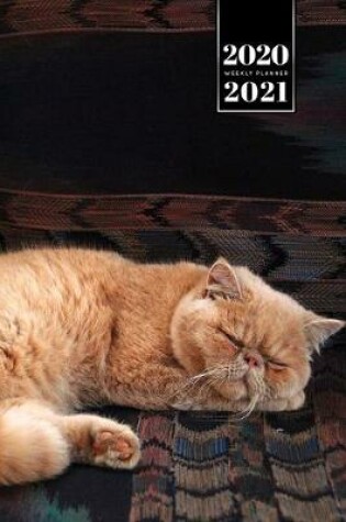 Cover of Persian Cat Kitten Kitty Tomcat Week Planner Organizer 2020 / 2021 - Nap Time