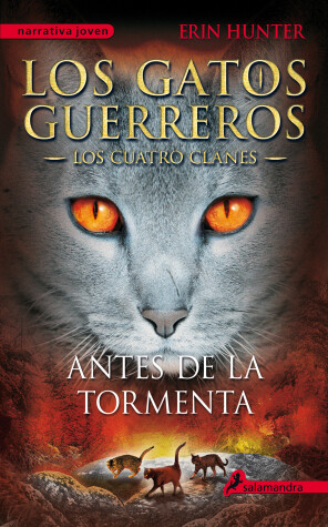 Book cover for Antes de la tormenta / Rising Storm
