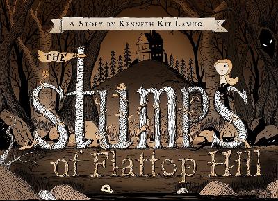 Book cover for The Stumps of Flattop Hill