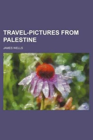 Cover of Travel-Pictures from Palestine