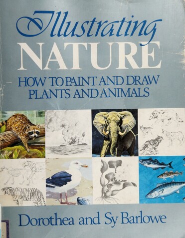 Book cover for Illustrating Nature