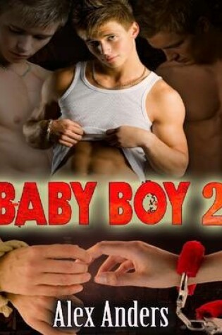 Cover of Baby Boy 2: Corrupted