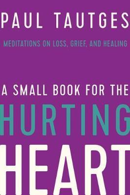 Book cover for A Small Book for the Hurting Heart