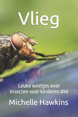 Book cover for Vlieg