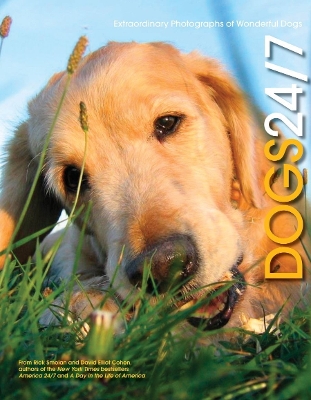 Book cover for Dogs 24/7