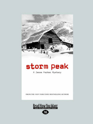 Book cover for Storm Peak