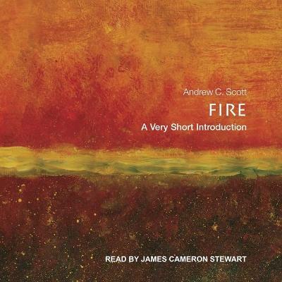 Book cover for Fire