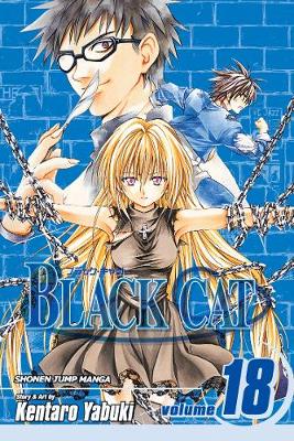 Book cover for Black Cat, Vol. 18
