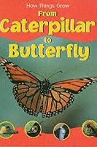 Cover of How Things Grow Caterpillar to Butterfly