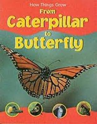 Book cover for How Things Grow Caterpillar to Butterfly