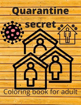 Book cover for Quarantine secret