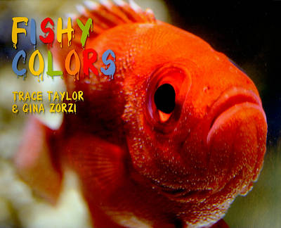 Cover of Fishy Colors