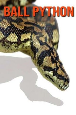 Cover of Ball Python