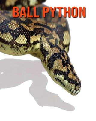 Book cover for Ball Python