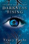 Book cover for Darkness Rising