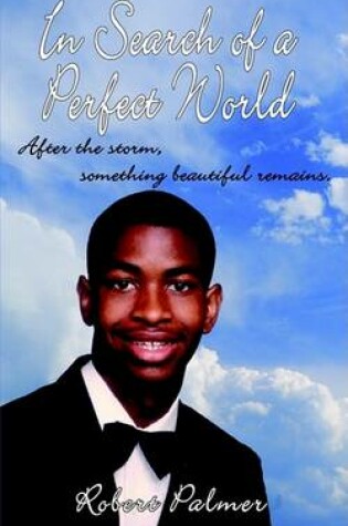 Cover of In Search of a Perfect World