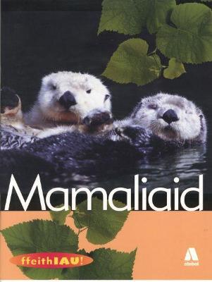 Book cover for Mamaliaid (Ffeithiau Anifeiliaid)