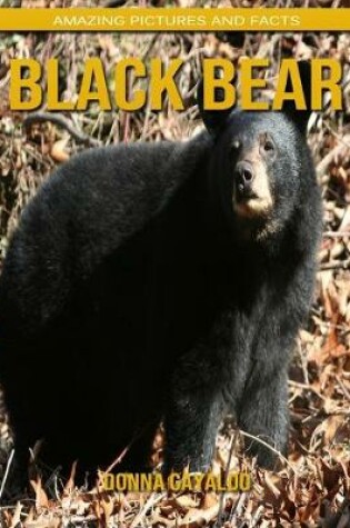 Cover of Black Bear