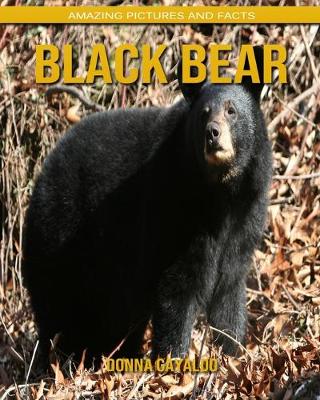 Book cover for Black Bear