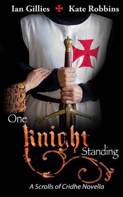 Book cover for One Knight Standing