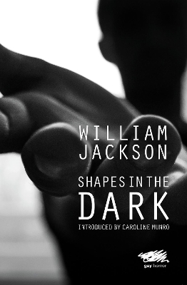Book cover for Shapes in the Dark
