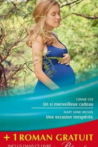 Cover of Un Si Merveilleux Cadeau - Une Occasion Inesperee - Une Rencontre Improbable