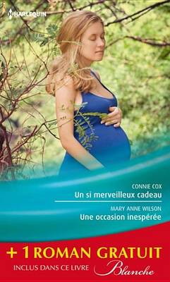 Book cover for Un Si Merveilleux Cadeau - Une Occasion Inesperee - Une Rencontre Improbable