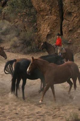 Book cover for Journal Horse Herding Equine