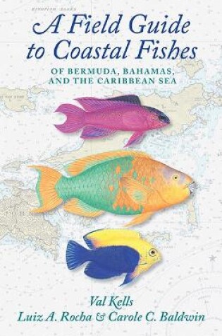 Cover of A Field Guide to Coastal Fishes of Bermuda, Bahamas, and the Caribbean Sea