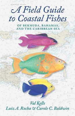 Book cover for A Field Guide to Coastal Fishes of Bermuda, Bahamas, and the Caribbean Sea