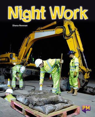 Book cover for Night Work