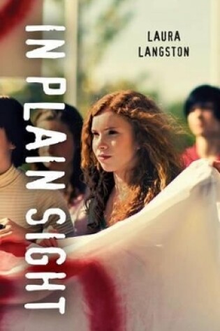 Cover of In Plain Sight