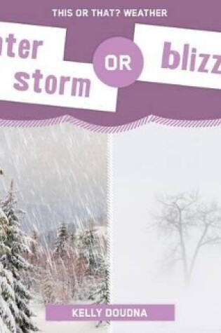 Cover of Winter Storm or Blizzard?
