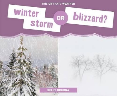 Book cover for Winter Storm or Blizzard?