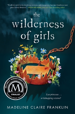 Book cover for The Wilderness of Girls